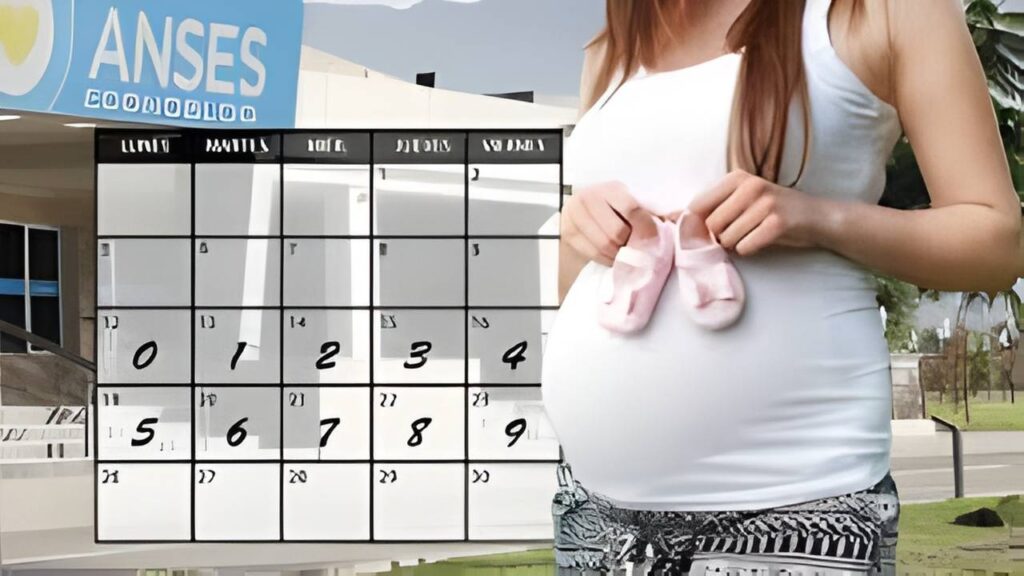 Asignación por Embarazo abril 2026: montos actualizados, requisitos y fechas de cobro ANSES